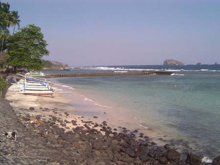 cdasa