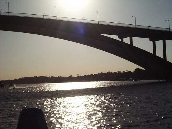 sybridge