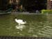 bird2