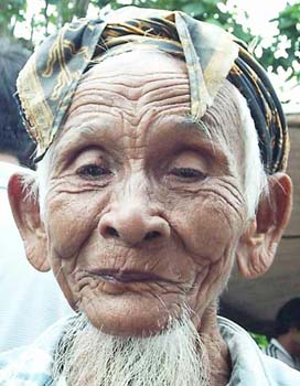 bali7