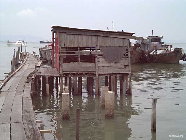 Holzsteg