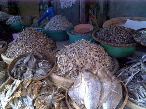 getroknete Fische